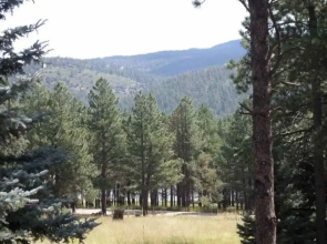 Outdoor Fire Pit, Wildlife Watching, Monte Verde Lake Ponderosa