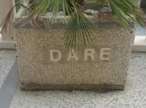 Apartment Dare