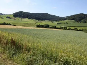 Ferienhaus Natur