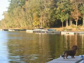 Lakeside Country Cottages