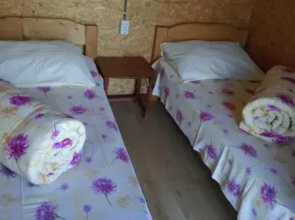 Călăreții lui Țepes