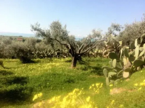 Pezzino Green Home