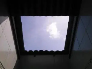 Green House