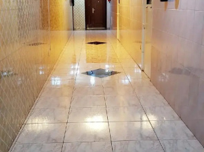 Trans World Hotel L.L.C