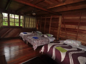 Kopal Cabins and Pizzeria