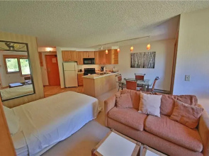Iron Horse Resort 5064 - Studio Room Condo