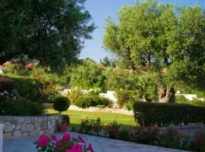 Aphrodite Studios