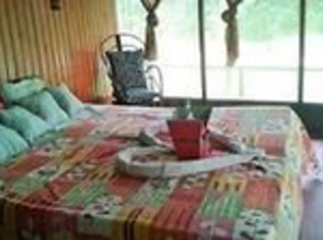 Amazon Camp Expeditions tours and hostel