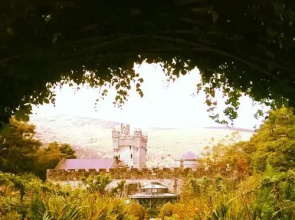 Woodview House Bed and Breakfast