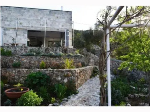 Lavander Holiday Home