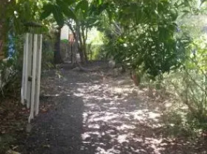 Kmo Yam In The Love Garden
