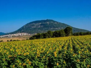 Galilee Best Location