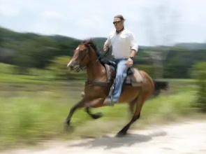 Mountain Equestrian Trails