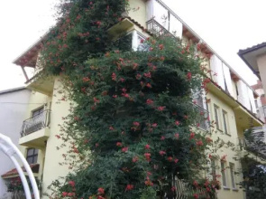 Modern Studios in Ohrid