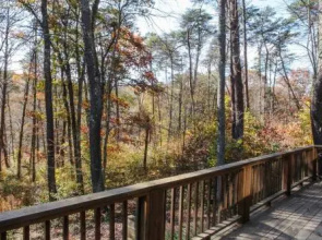 Laurelwood - Hocking Hills