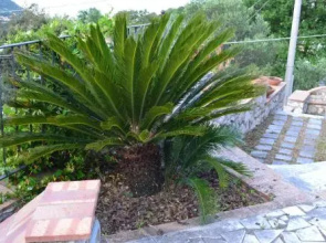 Wishing Well Maratea