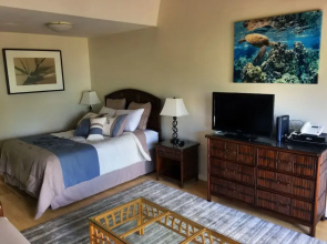 Kihei Bay Surf #257 - Studio Br Condo