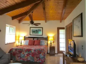 Volcano Bamboo View Cottage
