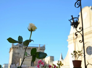 Apulia '800