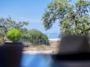 Terra di Olive