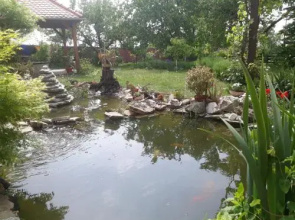 Pension Zelený strom