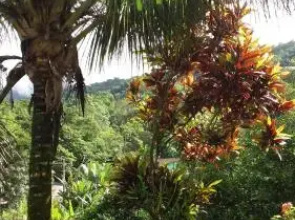 Pouso Canto Verde