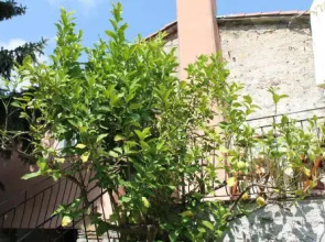 Terrazza Sul Golfo