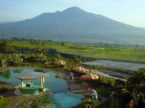 Bromo Cottages