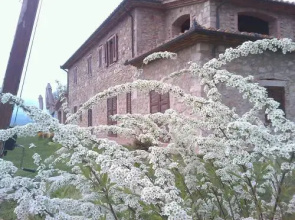 Agriturismo Il Poggiolo