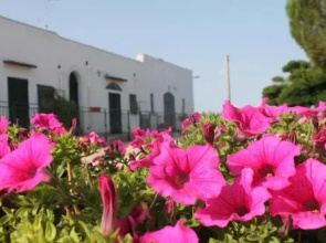 B&B Masseria Cappotto