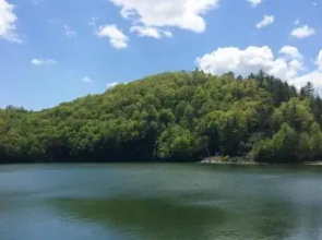 Wolf Creek Lake Cabins - Oakview Cabin