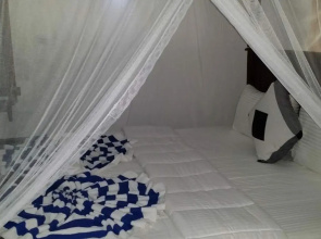 Eco Beach Home Stay
