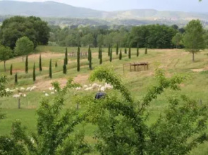 Fattoria Tabarrino