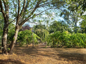 Provence Spa Villa 2