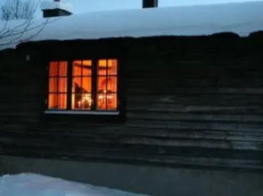 Fjallsatern