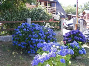 Cabañas Las Hortensias