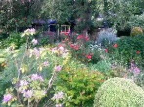 B & B het groene hart