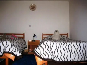 Flora's House