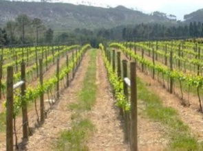 Elgin Vintners Manor House