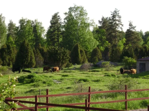 Abborrtorps Gård