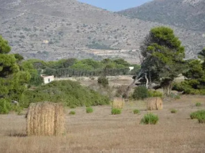Appartamenti la Pinetina di Favignana