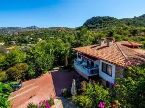 Palmetto Vip Villa