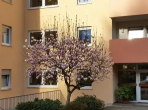 Ferienwohnung Am Waldsee Mit Schwimmbad