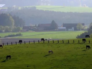 Haus Hollerbusch