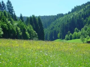 Müllerleile-Hof