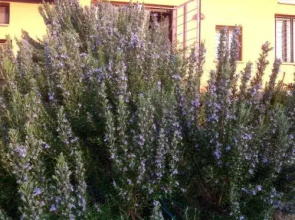 Casa Nella Campagna di San Gimignano