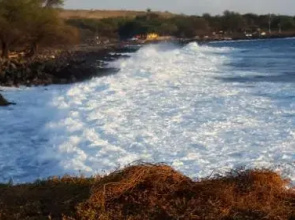 Aloha Cottage