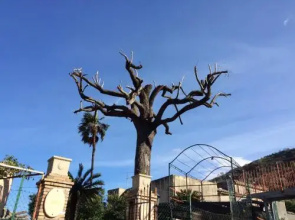 Alla Casa di Antonio