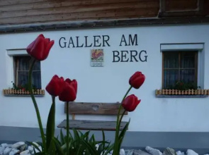 Galler am Berg