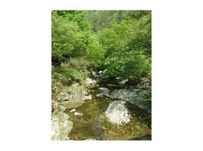 Yangpyeong Happy Village Forest House Pension